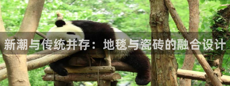 华润娱乐阂95692