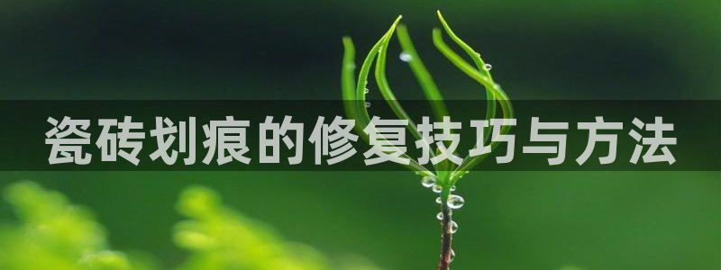 高州华润娱乐项目有哪些