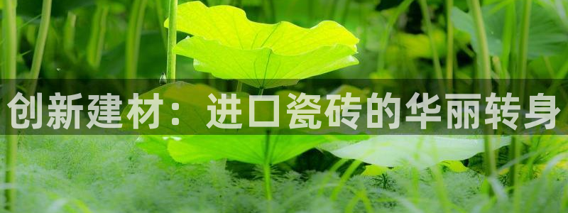 华润娱乐屡92222q