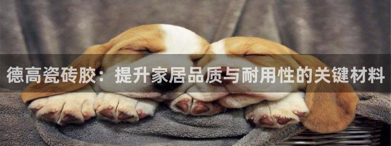 华润娱乐前