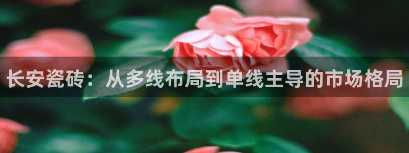 华润电子娱乐