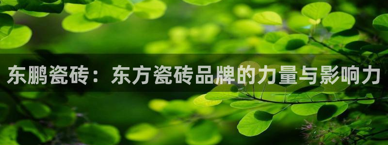 H华润娱乐