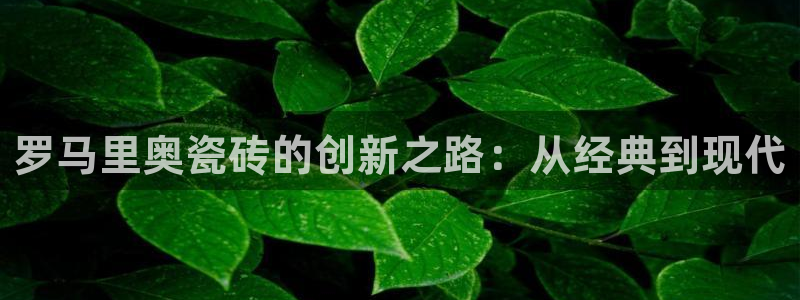 华润娱乐同