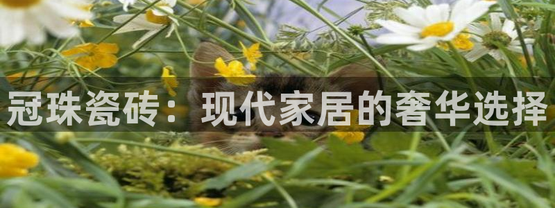 华润娱乐粗122222