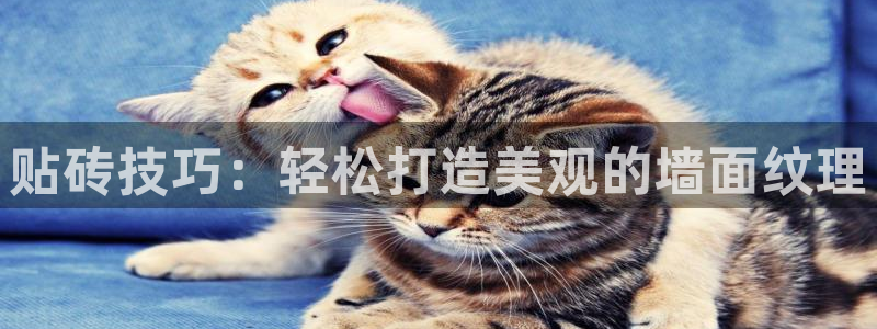 华润小区娱乐设施